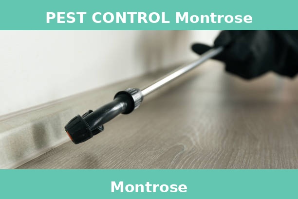 PEST CONTROL Montrose